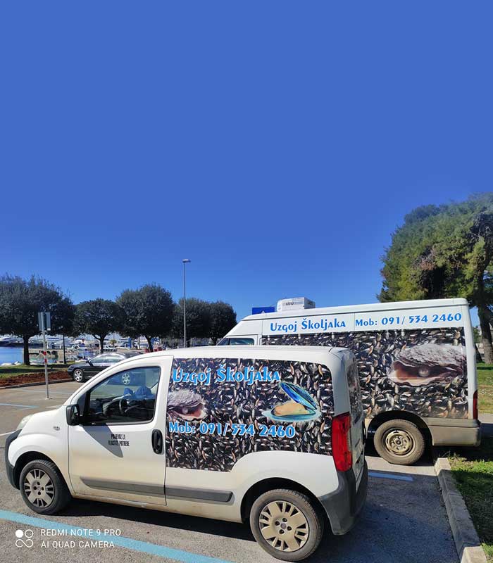 Dostavljamo dagnje sa 3 kombi hladnjače