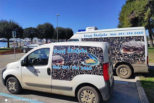 Dagnje, datule, pedoći, mušule - uzgajalište školjaka u Savudrijskoj vali